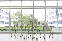 Installationsansicht 