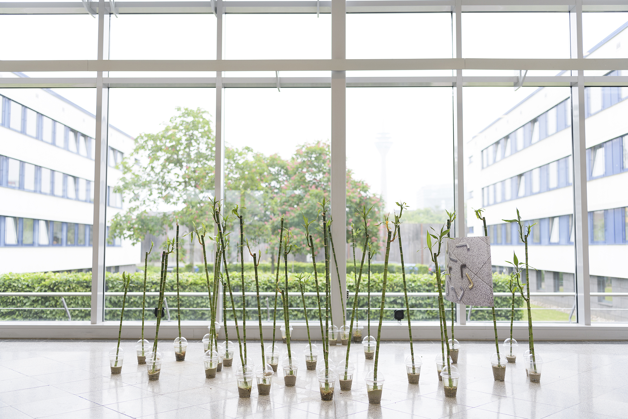 Installationsansicht – Elmar Hermann